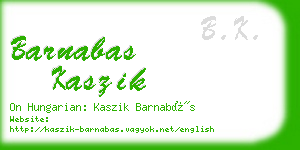 barnabas kaszik business card